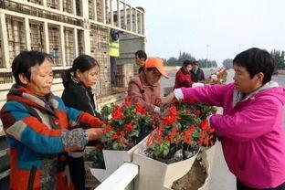 渭南新闻爆料,最新爆料揭示城市动态